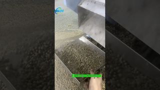 포장 전 200kg/h 떠다니는 물고기 사료 펠릿 압출기 기계 테스트 #fishfeedmachine