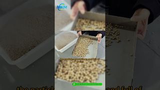 DGP-85 물고기 사료 펠렛 생산 라인 | 소개 및 전체 프로세스 데모#fishfeedproductionline