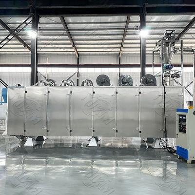 이중 스크류 펫 푸드 압출기 독특한 건조 펫 푸드 생산 라인 2톤/시간