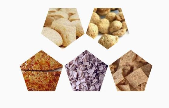 영문 버전 콩 단백질 라인 / 콩고기 제조기 AutoCAD 형식