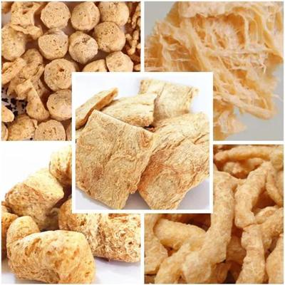 TVP TSP 채소 소아 덩어리 extruder 기계 110kw CE 인증서