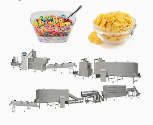 Kelloggs 콘플레이크 공정 라인