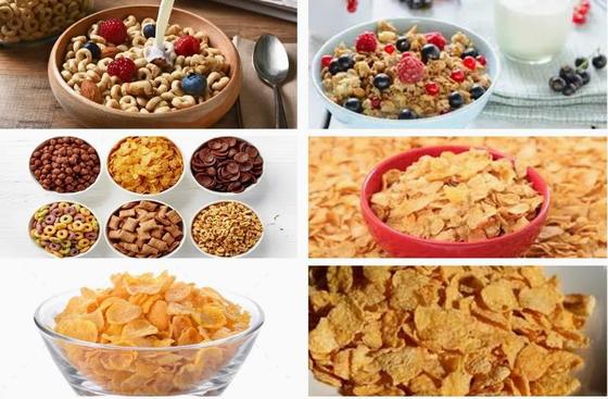 새 스테인리스강 콘플레이크 가공 라인 트윈 스크류 압출기