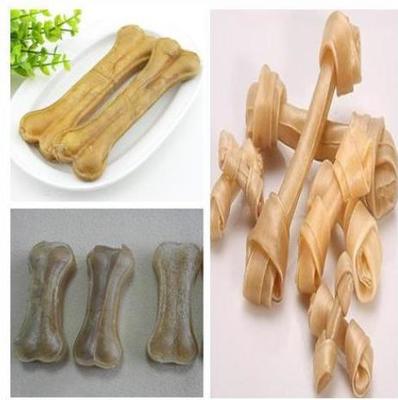뼈 프레스 머신을 심사숙고하는 치아 관리
