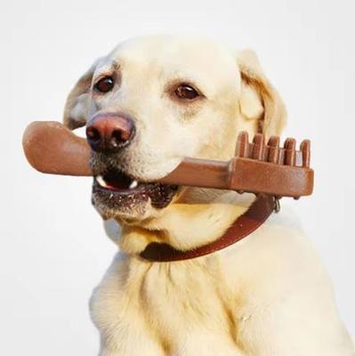 애완 동물을 위한 기계를 만드는 개밥을 씹어 치과 치료 주조한 애완 동물은 대우합니다