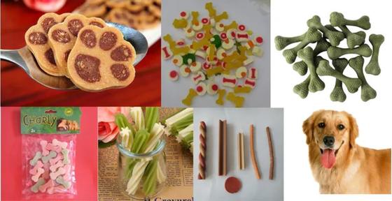 음식 급료 개밥 압출기 치과 치료 식사 내미는 선